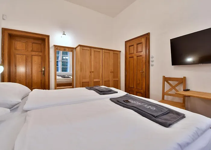 Aparthotel Zamek Castle - Predzamci Forecastle Racice (Vyskov)